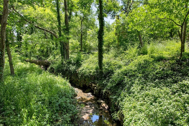 view of local wilderness