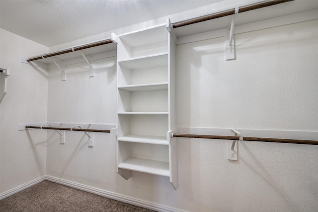 spacious closet featuring carpet