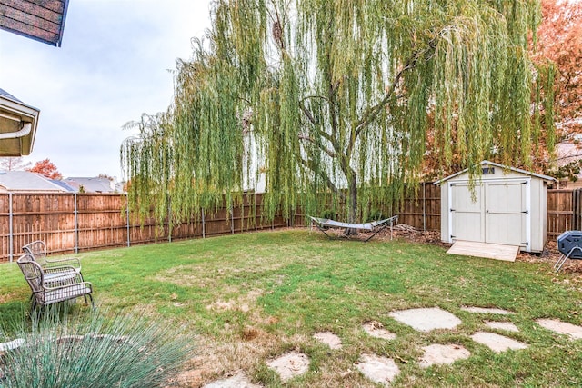 view of yard featuring a storage shed