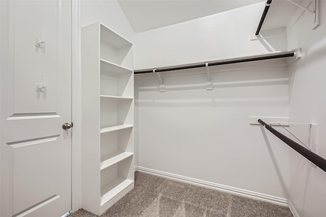 spacious closet with carpet flooring and lofted ceiling