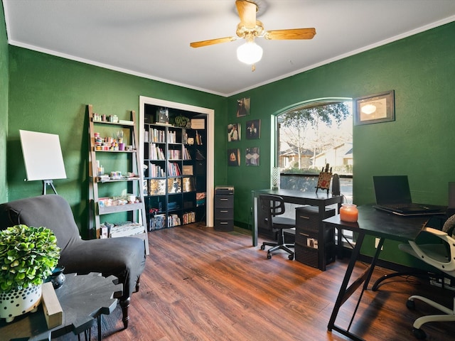 office featuring dark hardwood / wood-style flooring, ceiling fan, and crown molding