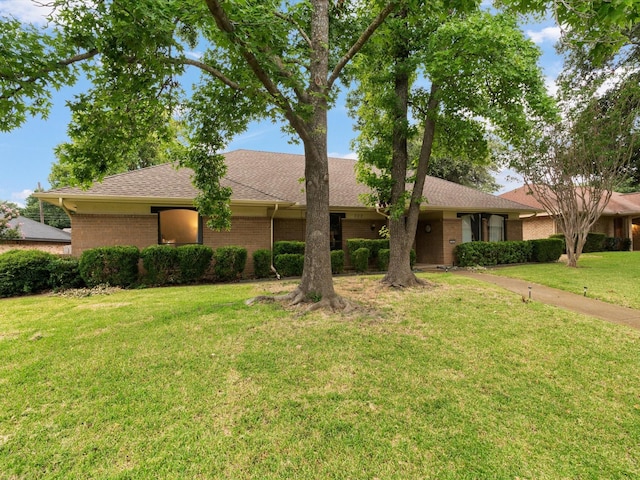 ranch-style home with a front yard