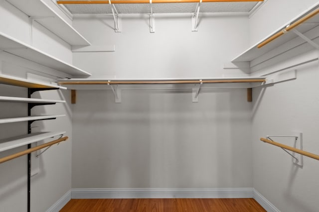 spacious closet featuring hardwood / wood-style flooring