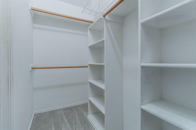 walk in closet with light colored carpet