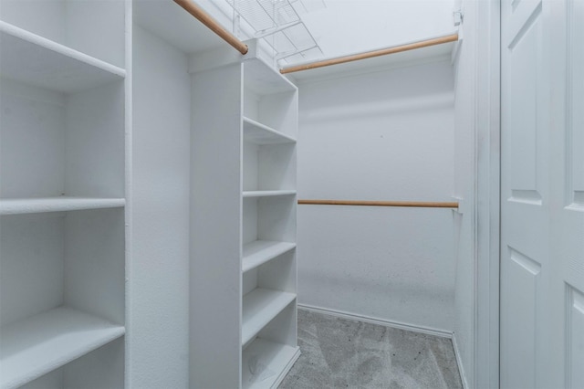 spacious closet featuring light carpet