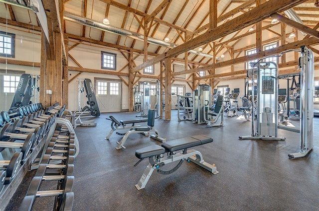 exercise room featuring plenty of natural light and high vaulted ceiling