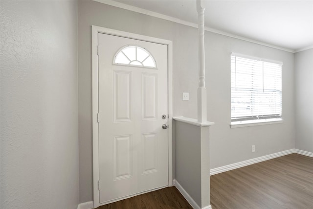 foyer with crown molding, dark wood-type flooring, and a healthy amount of sunlight