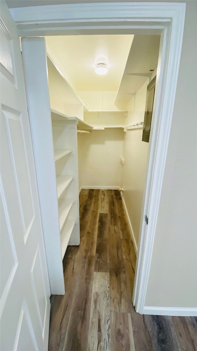 spacious closet with dark hardwood / wood-style floors