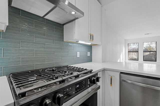 kitchen with white cabinets, appliances with stainless steel finishes, range hood, and tasteful backsplash