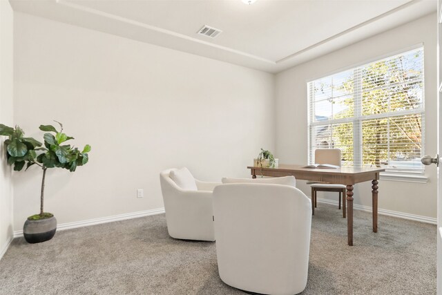 2053 Barx Dr, Little Elm, TX 75068 - carpeted office space with baseboards