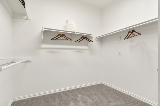 2053 Barx Dr, Little Elm, TX 75068 - walk in closet featuring carpet floors