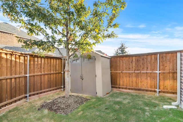 view of yard featuring a shed