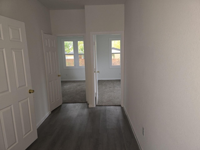 corridor featuring dark hardwood / wood-style floors