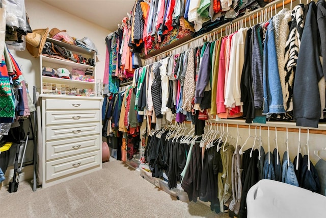 spacious closet with carpet flooring