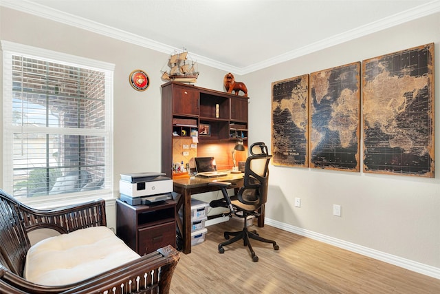 office with crown molding and light hardwood / wood-style flooring