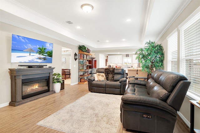 living room with plenty of natural light, crown molding, and light hardwood / wood-style flooring