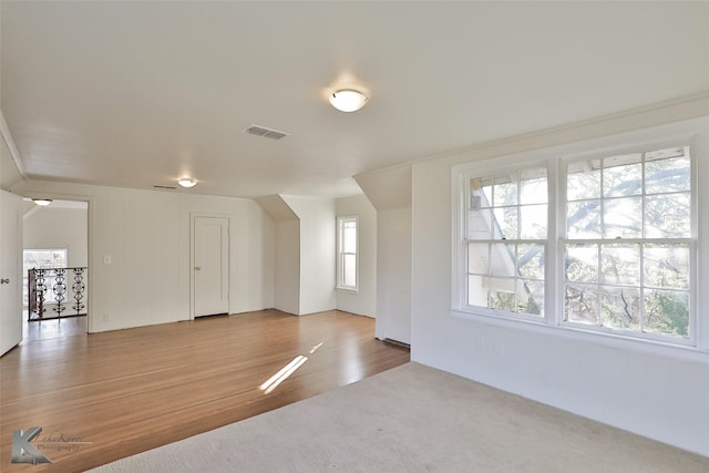 additional living space featuring plenty of natural light and wood-type flooring