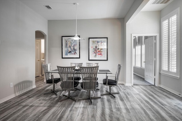 dining room featuring hardwood / wood-style flooring and a wealth of natural light