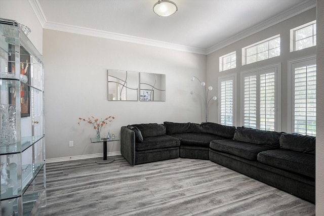 living room with wood-type flooring and ornamental molding