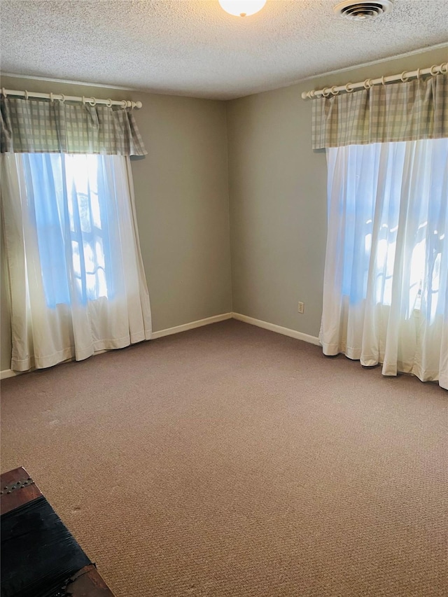 unfurnished room with carpet and a textured ceiling