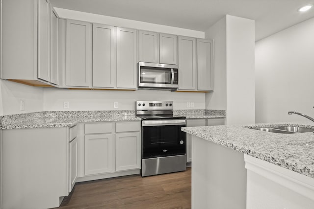 kitchen with sink, gray cabinets, light stone counters, dark hardwood / wood-style flooring, and stainless steel appliances