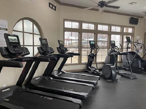 workout area with ornamental molding and ceiling fan