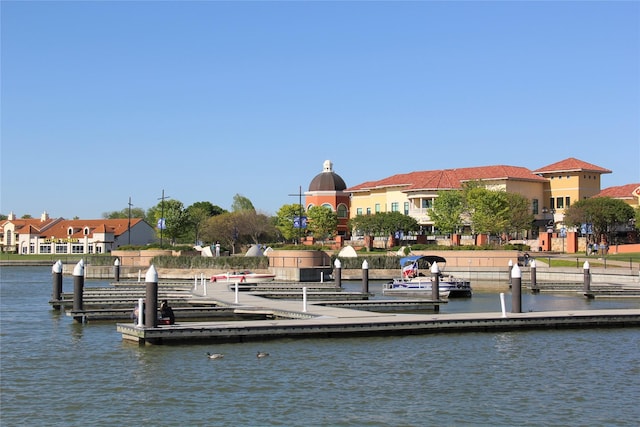 dock area with a water view