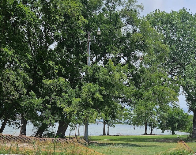 view of community with a water view and a yard