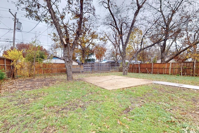 view of yard featuring a patio area