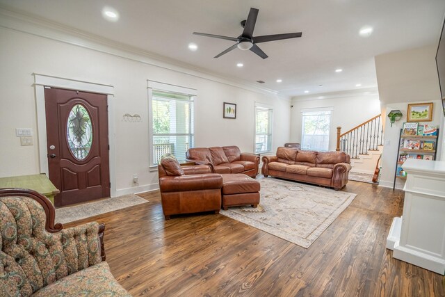 foyer featuring dark hardwood / wood-style floors and crown molding