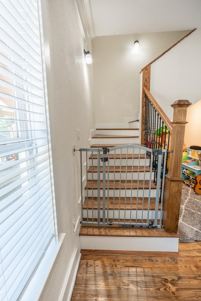 stairs with wood-type flooring