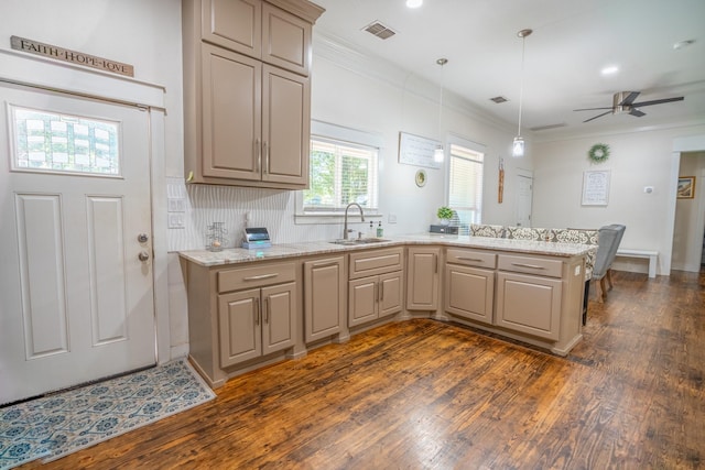 kitchen featuring light stone counters, ornamental molding, dark hardwood / wood-style flooring, and sink