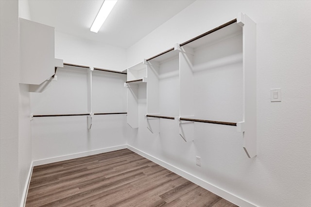 spacious closet featuring hardwood / wood-style flooring