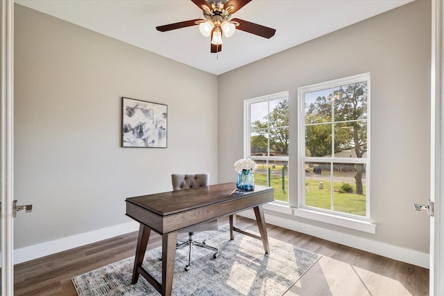 office space featuring ceiling fan and hardwood / wood-style flooring