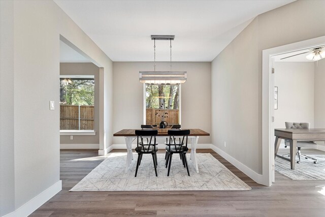 dining area featuring hardwood / wood-style floors, ceiling fan with notable chandelier, and a wealth of natural light