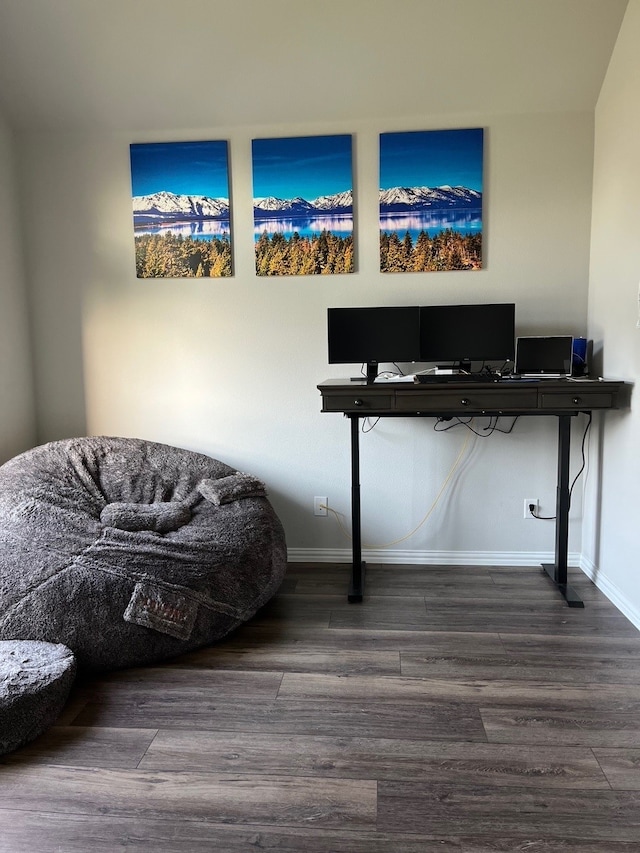 office featuring dark hardwood / wood-style floors