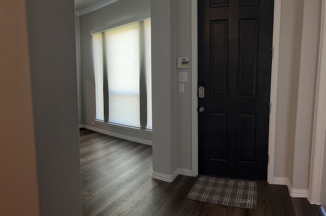 foyer entrance featuring crown molding and dark wood-type flooring