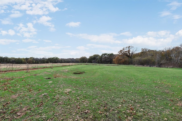 view of yard with a rural view