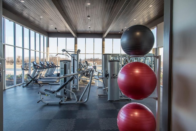 exercise room featuring expansive windows, a healthy amount of sunlight, and wooden ceiling