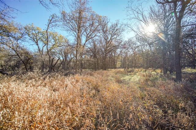 Listing photo 3 for TBD 281 Highway, Jacksboro TX 76458