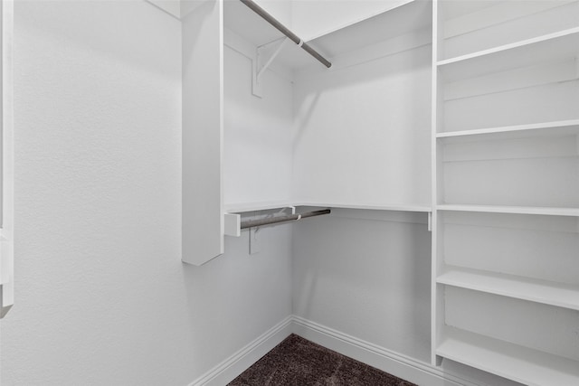 spacious closet featuring carpet flooring