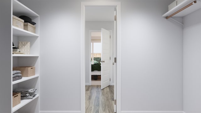 walk in closet with light wood-type flooring