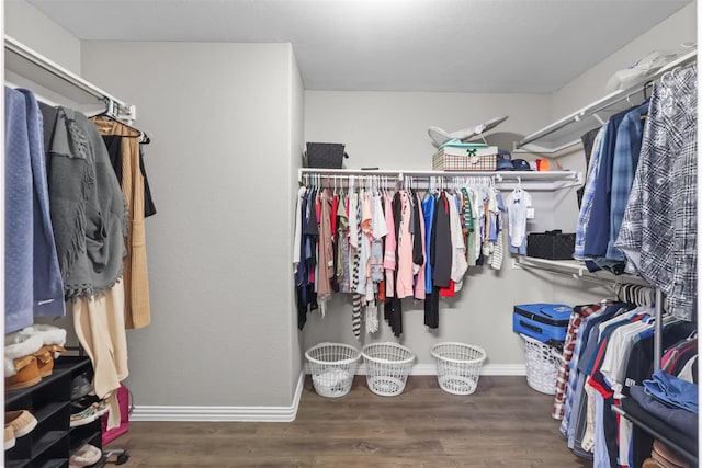 walk in closet with wood-type flooring