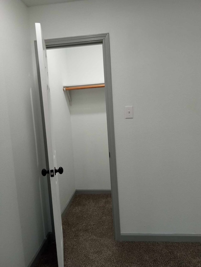 spacious closet featuring dark colored carpet