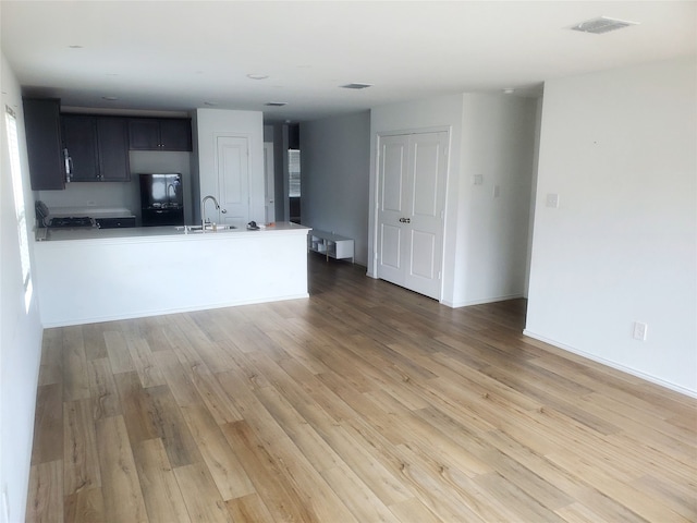 kitchen featuring light hardwood / wood-style floors and sink