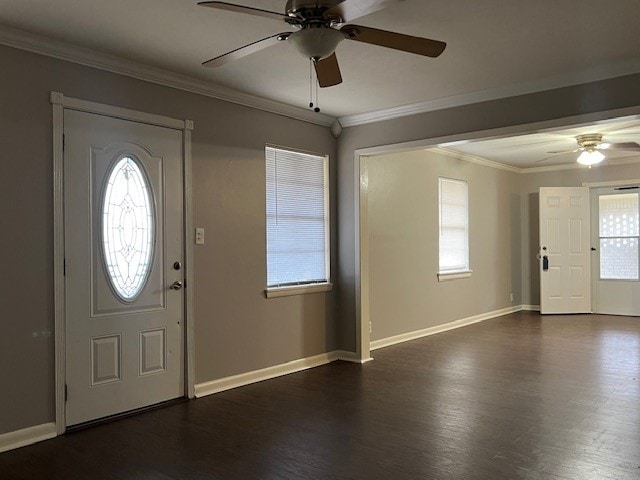 foyer entrance featuring crown molding, ceiling fan, and dark hardwood / wood-style flooring