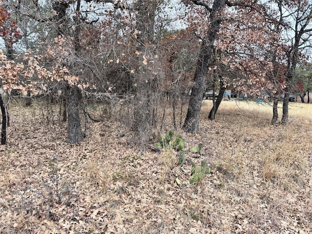 TBDLOT674 S Lakeside Dr, May TX, 76857 land for sale