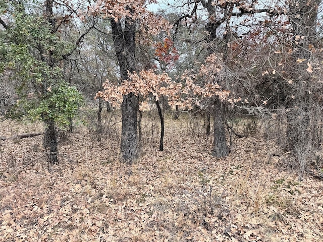 Listing photo 2 for TBDLOT674 S Lakeside Dr, May TX 76857