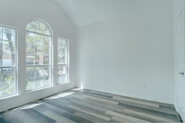 empty room with hardwood / wood-style flooring, plenty of natural light, and lofted ceiling