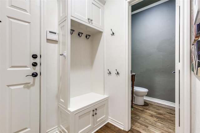 mudroom with hardwood / wood-style flooring